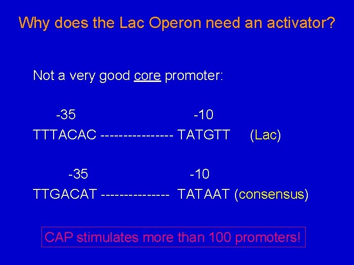 Why does the Lac Operon need an activator? Not a very good core promoter: