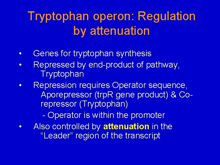 Tryptophan operon: Regulation by attenuation • • Genes for tryptophan synthesis Repressed by end-product