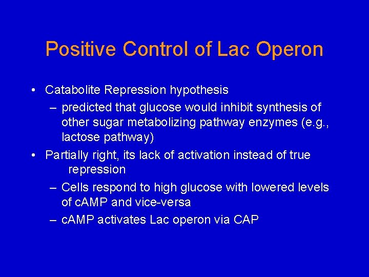 Positive Control of Lac Operon • Catabolite Repression hypothesis – predicted that glucose would