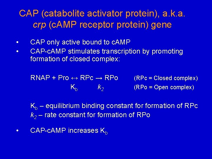 CAP (catabolite activator protein), a. k. a. crp (c. AMP receptor protein) gene •