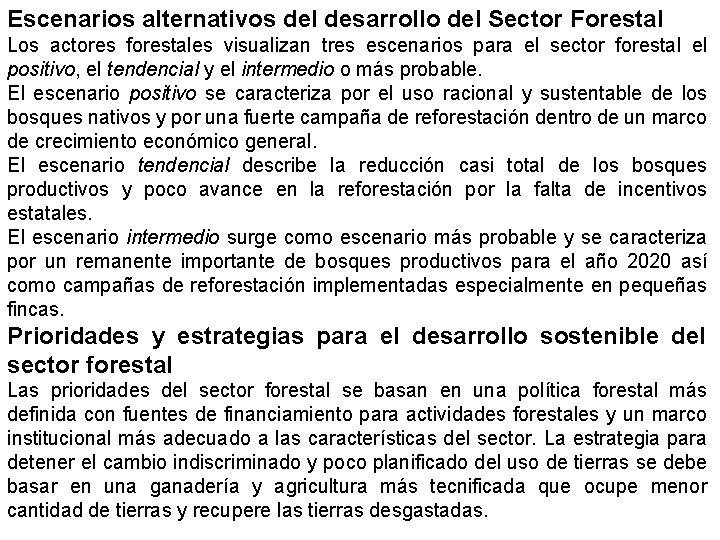 Escenarios alternativos del desarrollo del Sector Forestal Los actores forestales visualizan tres escenarios para