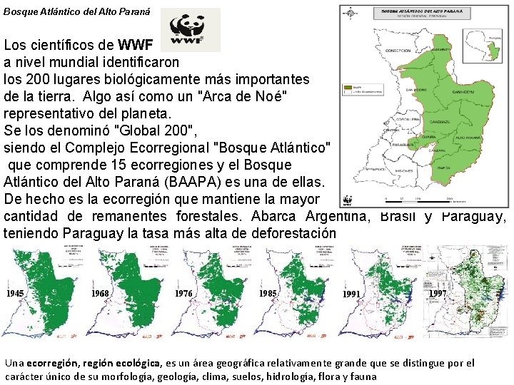 Bosque Atlántico del Alto Paraná Los científicos de WWF a nivel mundial identificaron los