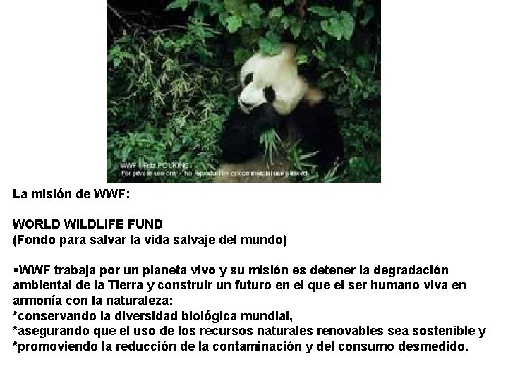 La misión de WWF: WORLD WILDLIFE FUND (Fondo para salvar la vida salvaje del