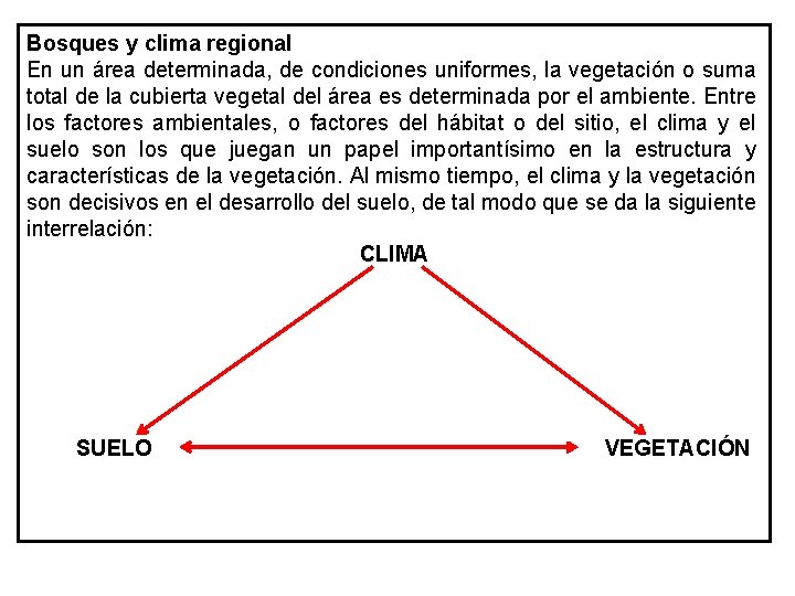 Bosques y clima regional En un área determinada, de condiciones uniformes, la vegetación o