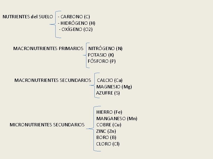 NUTRIENTES del SUELO - CARBONO (C) - HIDRÓGENO (H) - OXÍGENO (O 2) MACRONUTRIENTES