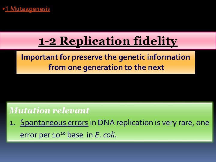  • 1 Mutaagenesis 1 -2 Replication fidelity Important for preserve the genetic information