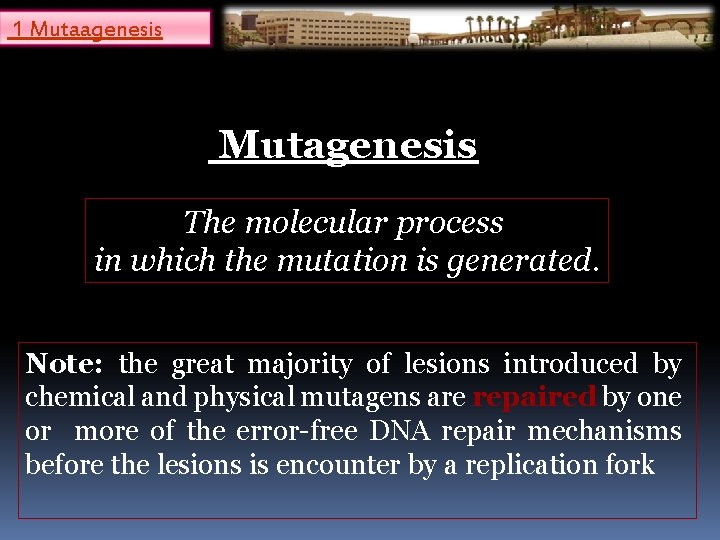 1 Mutaagenesis Mutagenesis The molecular process in which the mutation is generated. Note: the