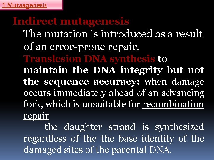 1 Mutaagenesis Indirect mutagenesis The mutation is introduced as a result of an error-prone