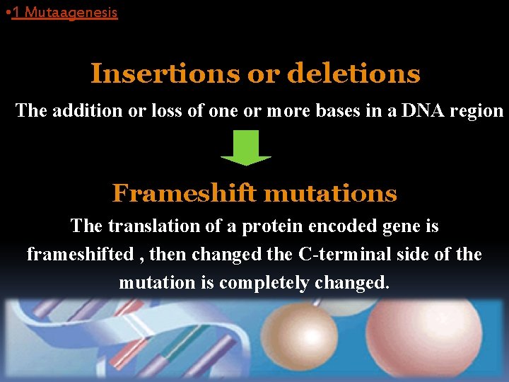  • 1 Mutaagenesis Insertions or deletions The addition or loss of one or