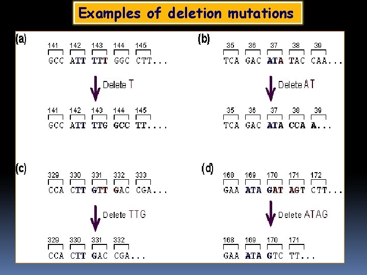 Examples of deletion mutations 