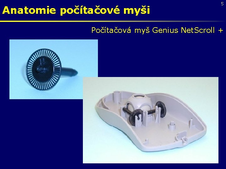 Anatomie počítačové myši 5 Počítačová myš Genius Net. Scroll + 