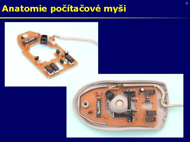 Anatomie počítačové myši 6 