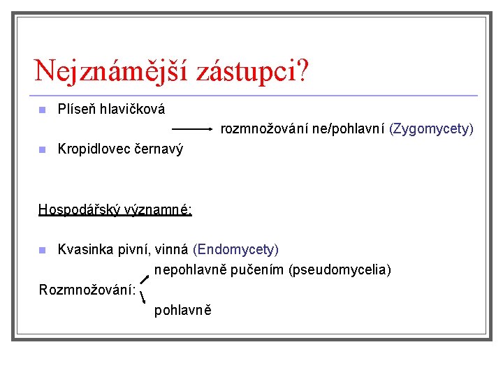 Nejznámější zástupci? Plíseň hlavičková rozmnožování ne/pohlavní (Zygomycety) n Kropidlovec černavý n Hospodářský významné: Kvasinka