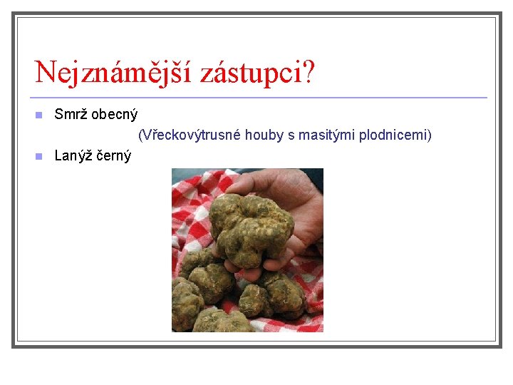 Nejznámější zástupci? Smrž obecný (Vřeckovýtrusné houby s masitými plodnicemi) n Lanýž černý n 
