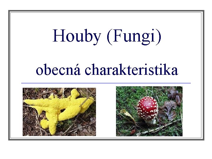 Houby (Fungi) obecná charakteristika 