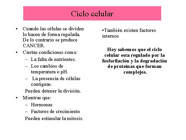 Ciclo celular • Cuando las células se dividen lo hacen de forma regulada. De