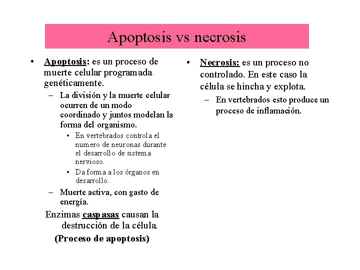 Apoptosis vs necrosis • Apoptosis: es un proceso de muerte celular programada genéticamente. –