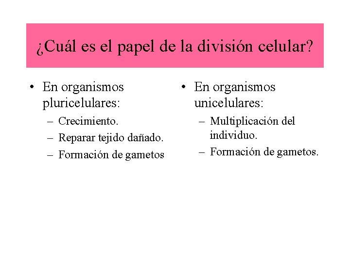 ¿Cuál es el papel de la división celular? • En organismos pluricelulares: – Crecimiento.