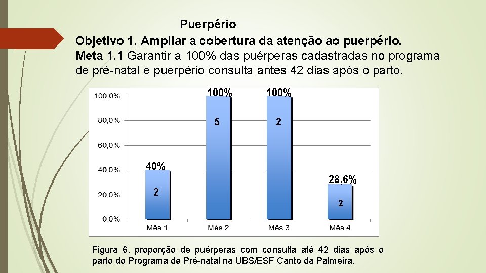 Puerpério Objetivo 1. Ampliar a cobertura da atenção ao puerpério. Meta 1. 1 Garantir