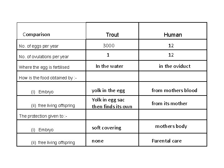 Comparison Trout Human No. of eggs per year 3000 12 No. of ovulations per