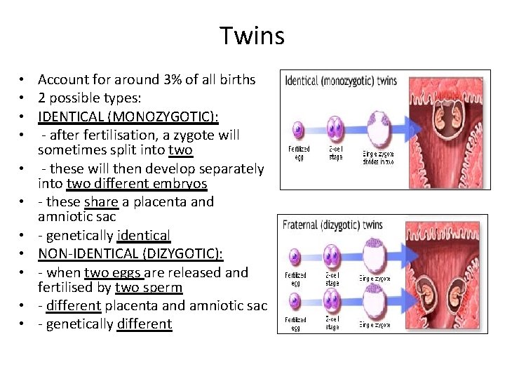 Twins • Account for around 3% of all births • 2 possible types: •