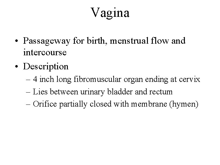 Vagina • Passageway for birth, menstrual flow and intercourse • Description – 4 inch