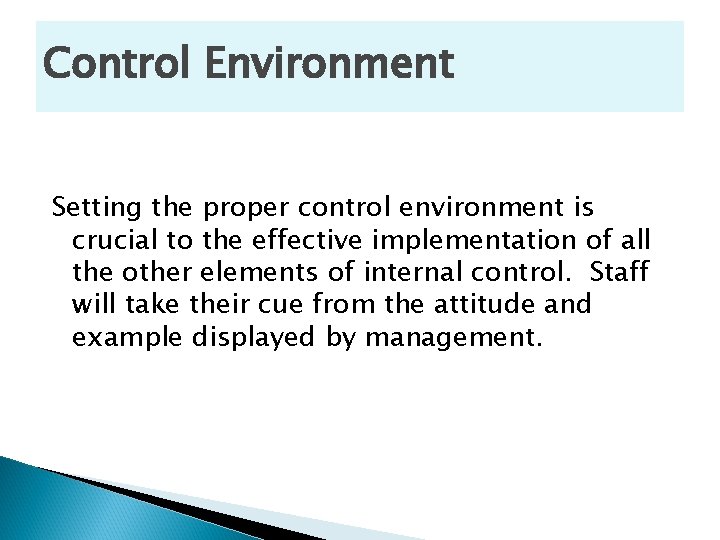 Control Environment Setting the proper control environment is crucial to the effective implementation of