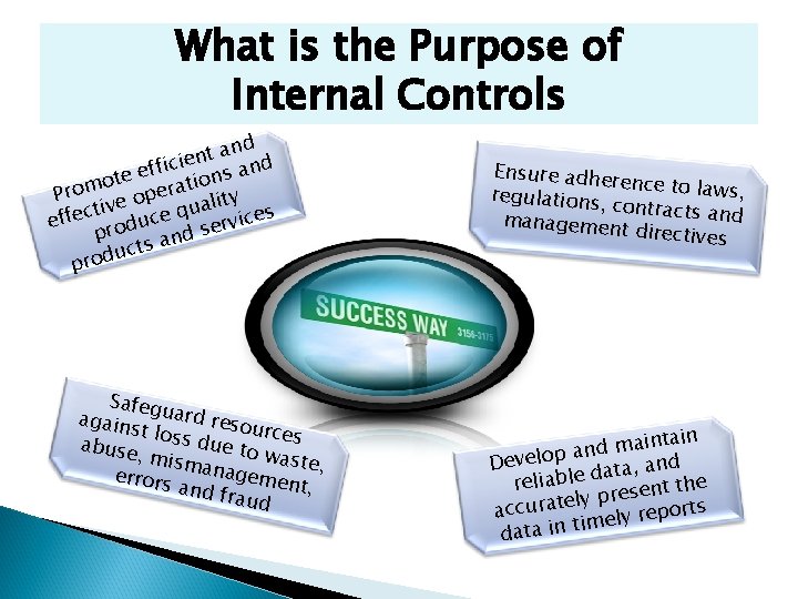 What is the Purpose of Internal Controls t and n e i ffic and