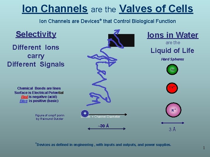 Ion Channels are the Valves of Cells Ion Channels are Devices* that Control Biological