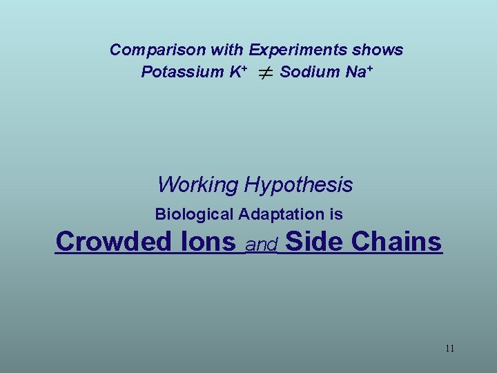 Comparison with Experiments shows Potassium K+ Sodium Na+ Working Hypothesis Biological Adaptation is Crowded