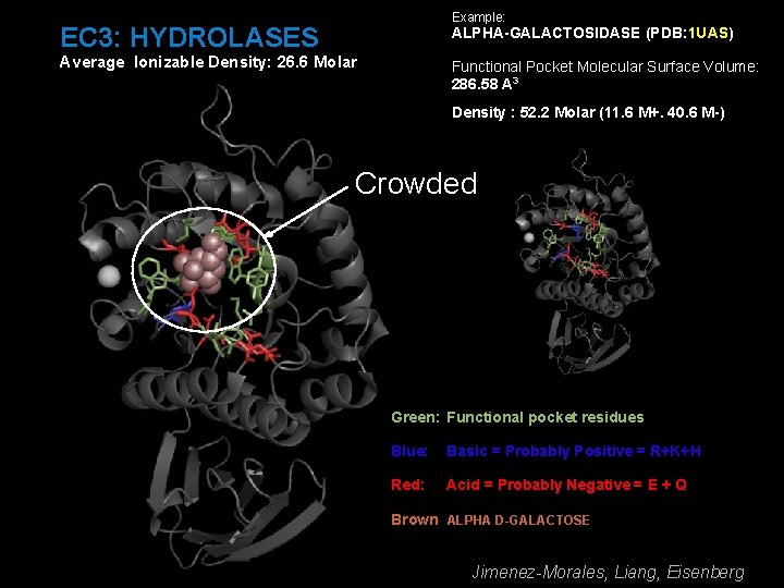 Example: EC 3: HYDROLASES ALPHA-GALACTOSIDASE (PDB: 1 UAS) Average Ionizable Density: 26. 6 Molar