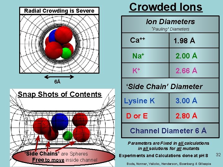 Radial Crowding is Severe Crowded Ions Ion Diameters ‘Pauling’ Diameters 6Å Snap Shots of
