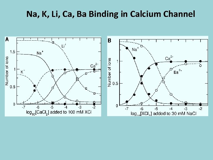 Na, K, Li, Ca, Ba Binding in Calcium Channel 