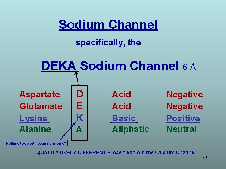 Sodium Channel specifically, the DEKA Sodium Channel 6 Å Aspartate Glutamate Lysine Alanine D