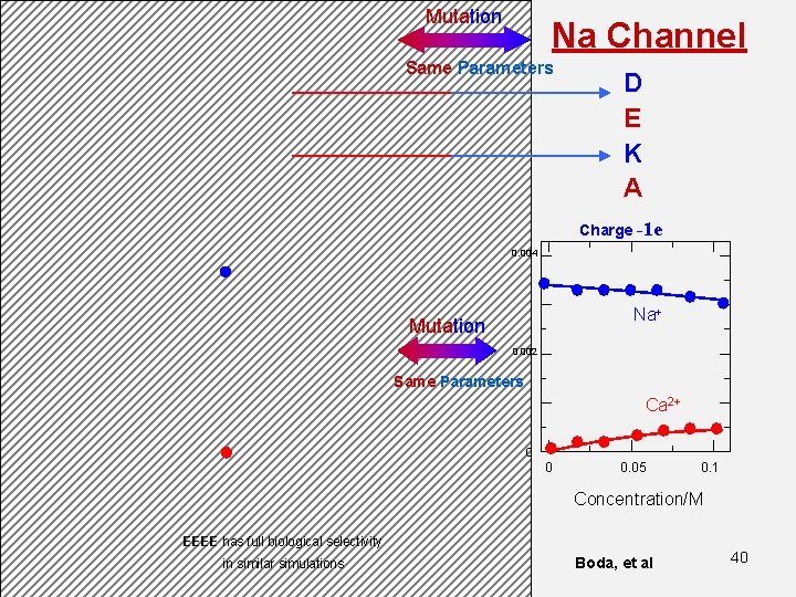 Ca Channel E E E A Charge Occupancy (number) Mutation Na Channel Same Parameters