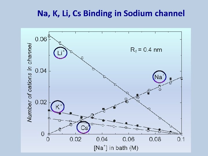 Na, K, Li, Cs Binding in Sodium channel 