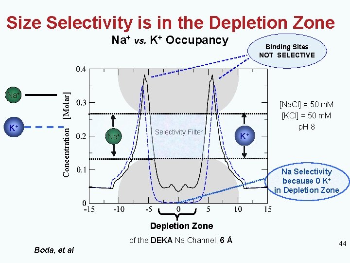 Size Selectivity is in the Depletion Zone Na+ vs. K+ Occupancy Binding Sites NOT