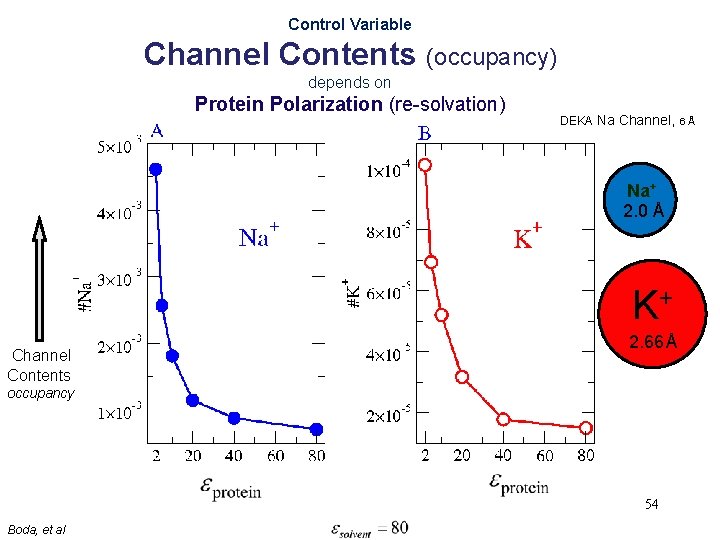 Control Variable Channel Contents (occupancy) depends on Occupancy Protein Polarization (re-solvation) DEKA Na Channel,