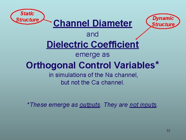 Static Structure Channel Diameter Dynamic Structure and Dielectric Coefficient emerge as Orthogonal Control Variables*