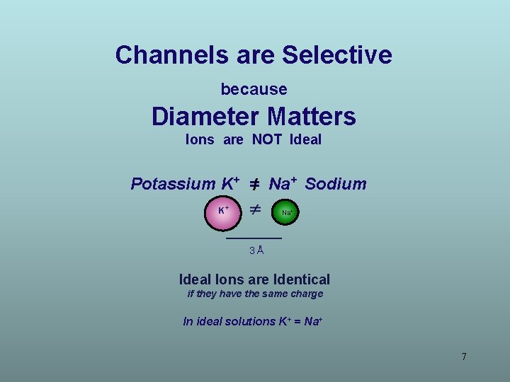 Channels are Selective because Diameter Matters Ions are NOT Ideal Potassium K+ =/ Na+