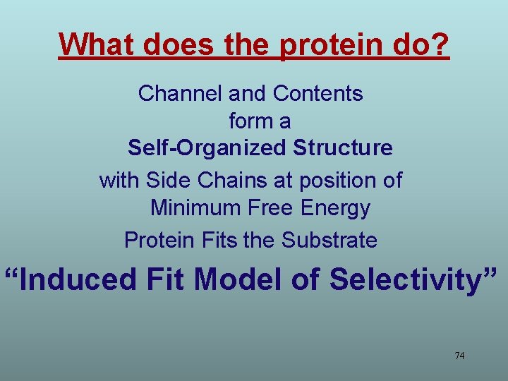 What does the protein do? Channel and Contents form a Self-Organized Structure with Side