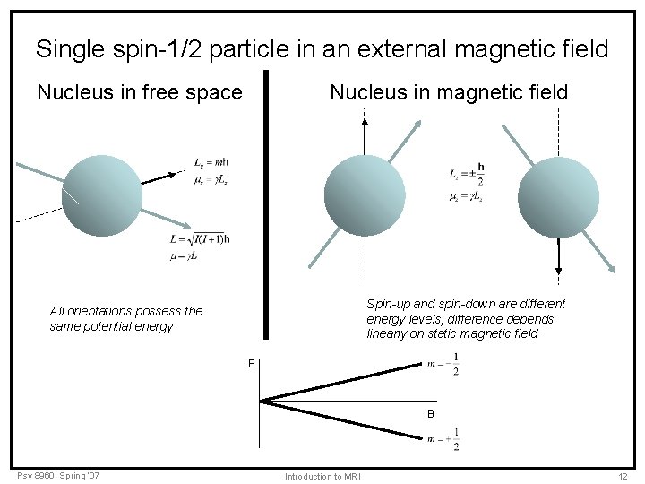 Single spin-1/2 particle in an external magnetic field Nucleus in free space Nucleus in
