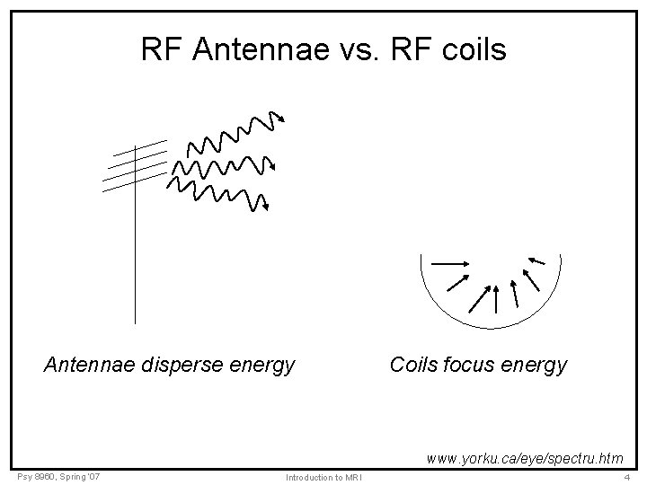 RF Antennae vs. RF coils Antennae disperse energy Coils focus energy www. yorku. ca/eye/spectru.