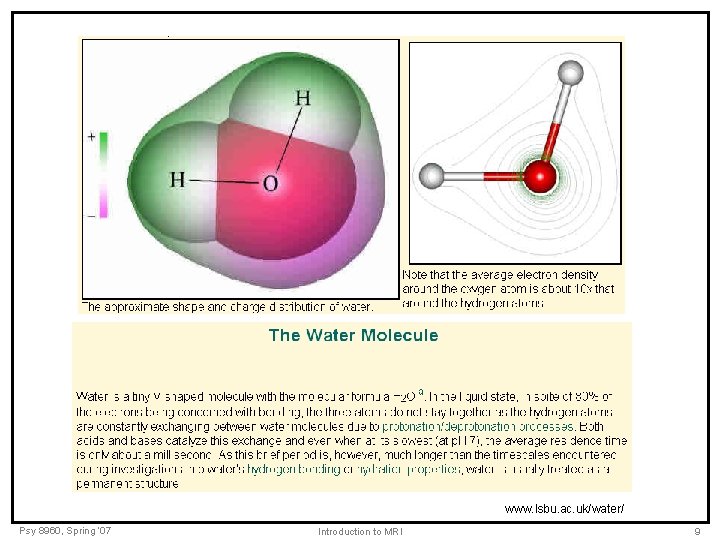 Water www. lsbu. ac. uk/water/ Psy 8960, Spring ’ 07 Introduction to MRI 9