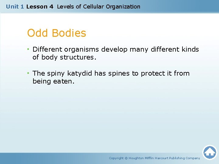 Unit 1 Lesson 4 Levels of Cellular Organization Odd Bodies • Different organisms develop