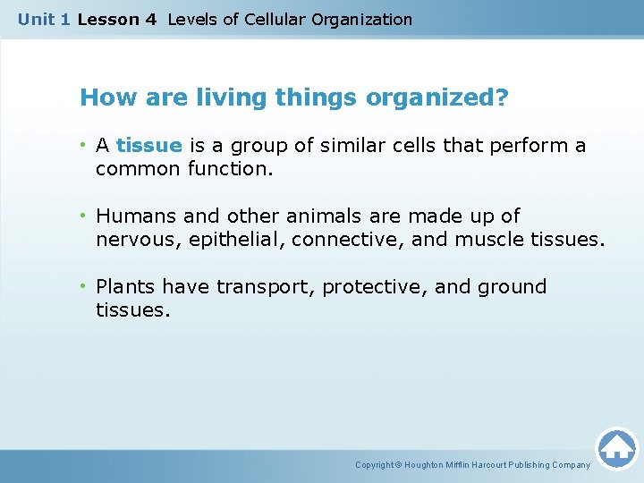 Unit 1 Lesson 4 Levels of Cellular Organization How are living things organized? •