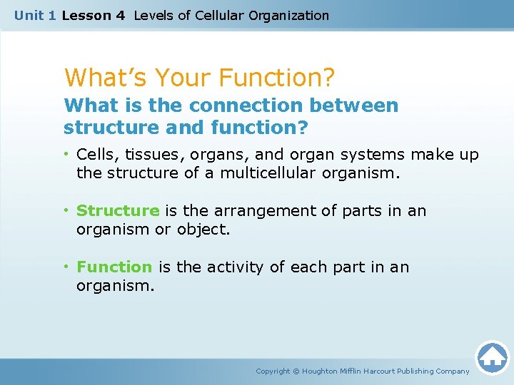 Unit 1 Lesson 4 Levels of Cellular Organization What’s Your Function? What is the