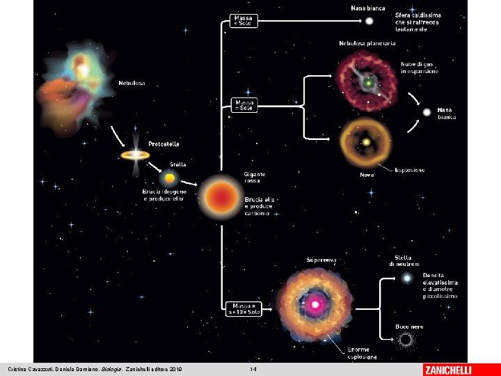 Cristina Cavazzuti, Daniela Damiano, Biologia, Zanichelli editore 2019 14 