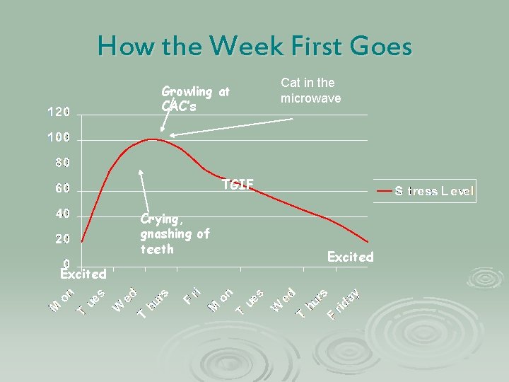 How the Week First Goes Growling at CAC’s Cat in the microwave TGIF Crying,