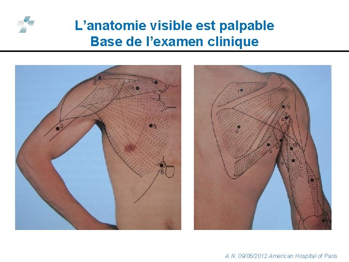 L’anatomie visible est palpable Base de l’examen clinique A. N. 09/06/2012 American Hospital of